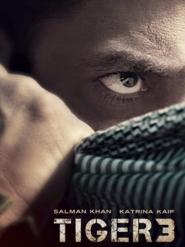 TOP HINDI MOVIES RELEASING IN 2023