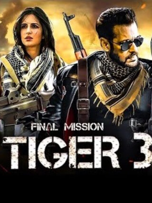 Tiger 3 फिल्म में लगा हॉलीवुड का तड़का